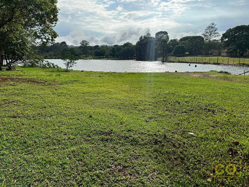 Gramado verde extenso em primeiro plano, com um lago de águas calmas e árvores ao fundo em dia claro.