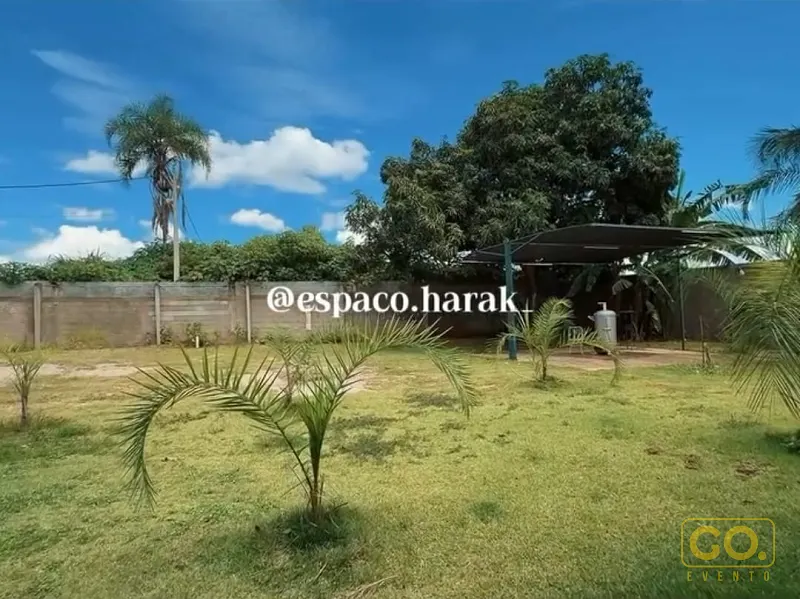 Gramado com palmeiras jovens e muro de concreto ao fundo, um pergolado escuro e uma árvore grande sob céu azul com nuvens.