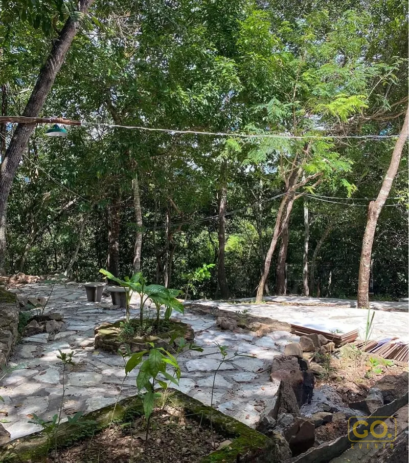 Jardim rústico com piso de pedra, bancos de concreto, plantas em canteiros e árvores altas ao redor, sem pessoas.