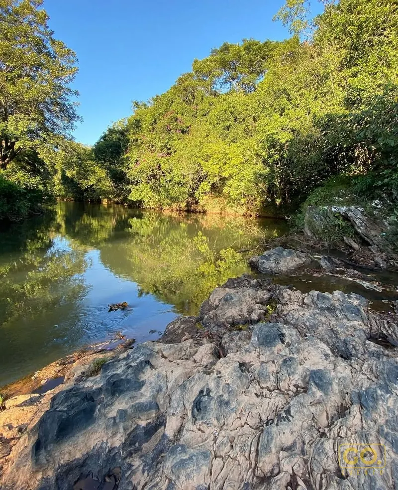 Margem rochosa de um rio de águas calmas, cercado por árvores verdes e vegetação densa sob céu azul e luz do dia.