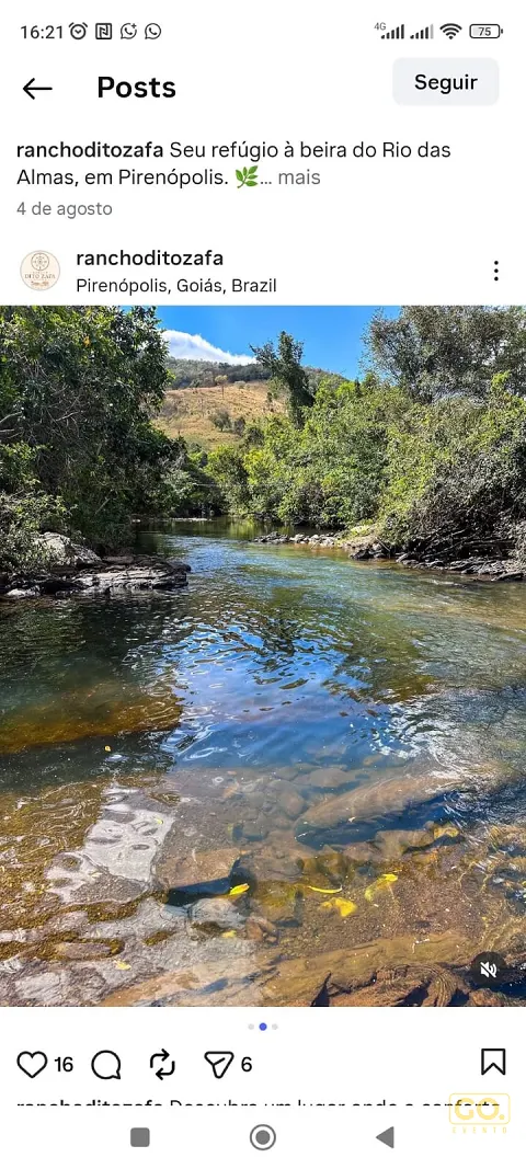 Rio de águas claras com pedras no leito e mata nas margens, sob céu azul em dia de sol, visto de dentro da água.