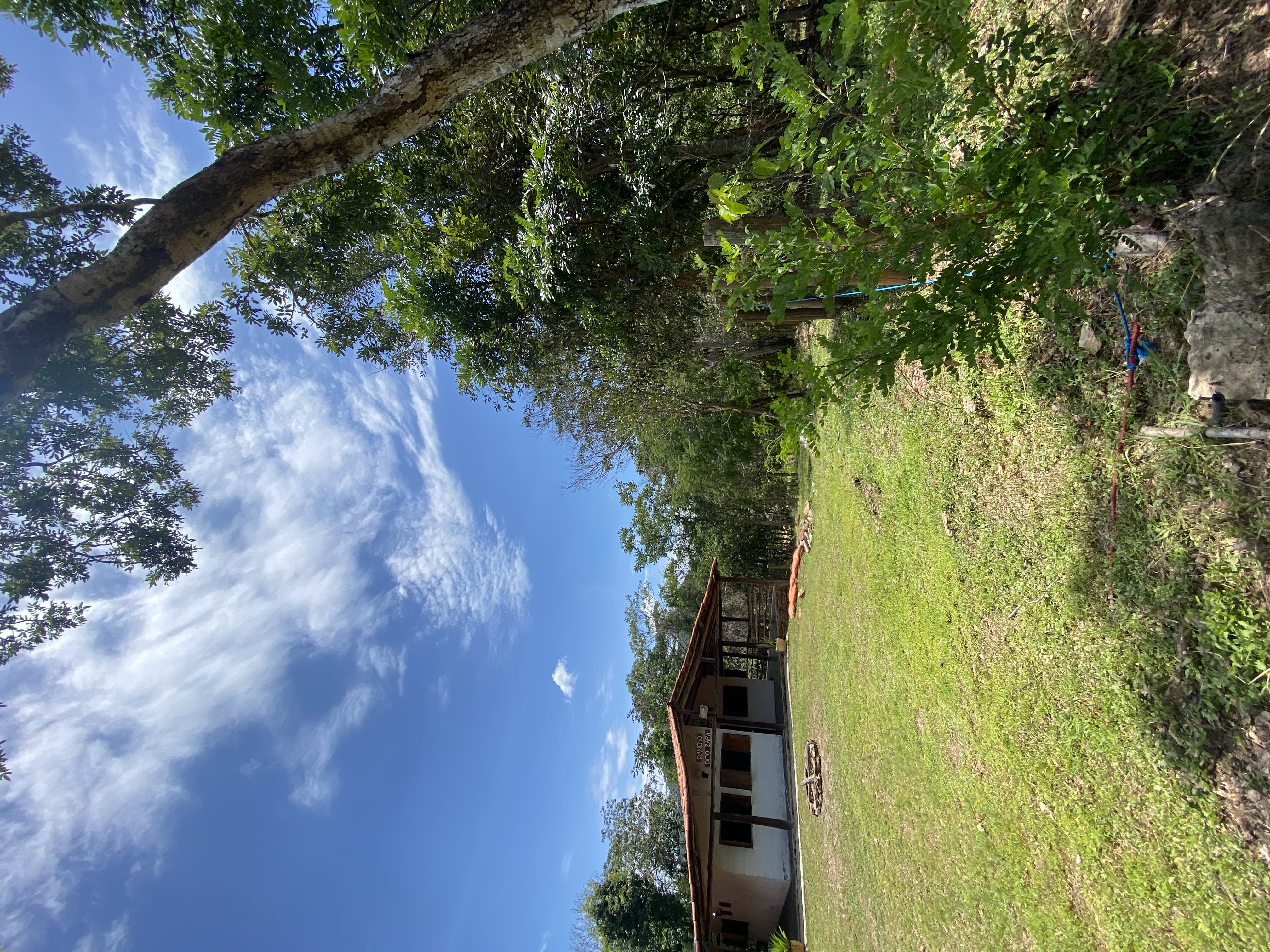 Foto 11