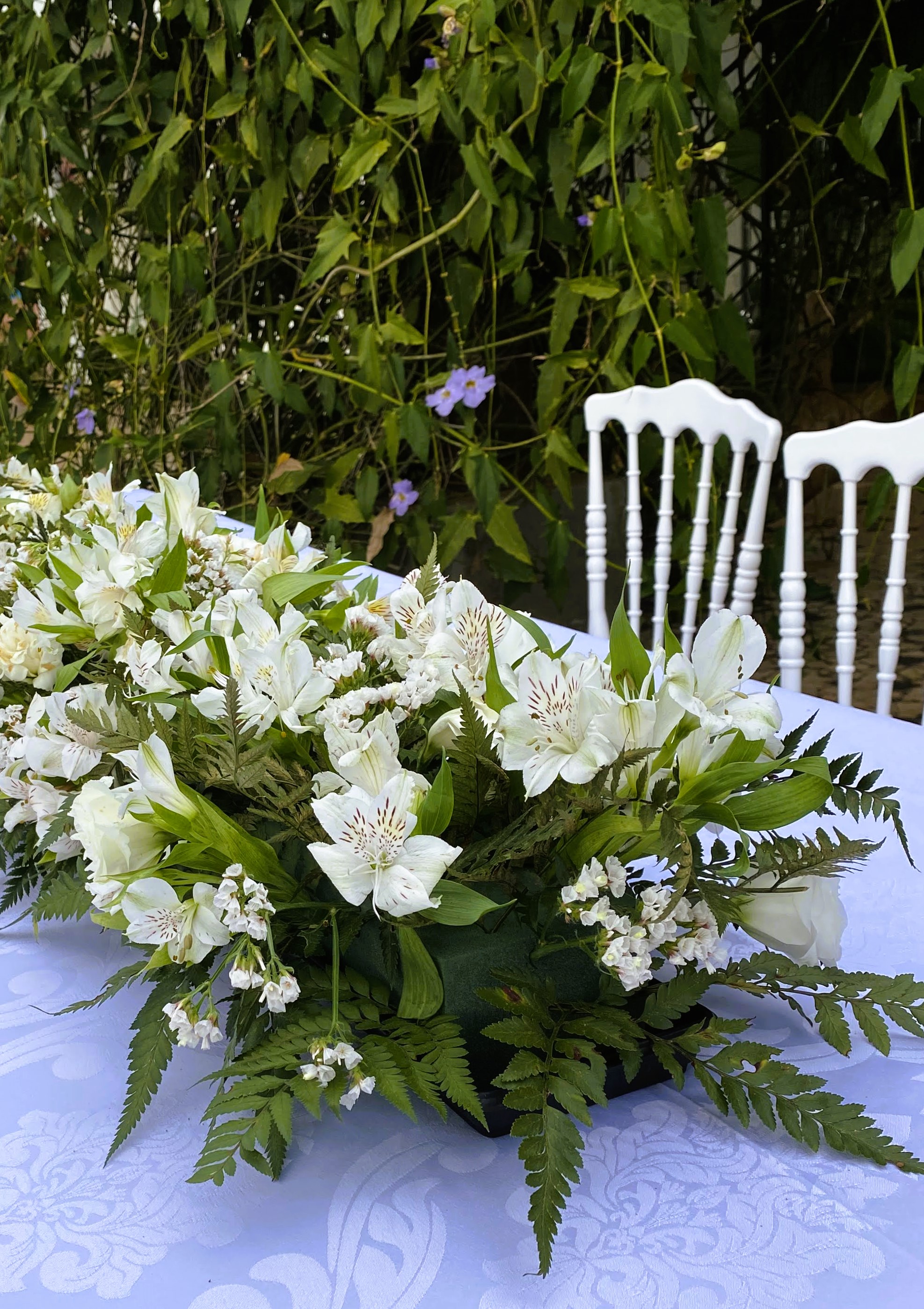 Foto 14