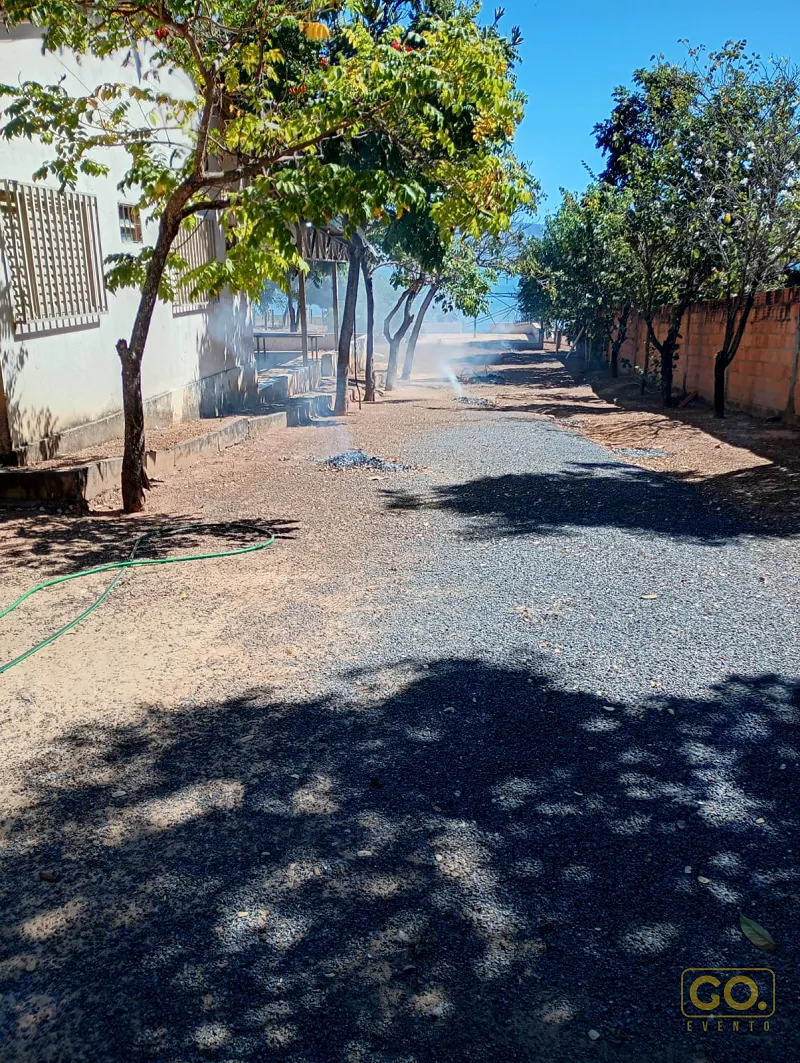 Caminho de cascalho ladeado por árvores e muro de tijolos, com sombra das copas no chão sob sol forte.