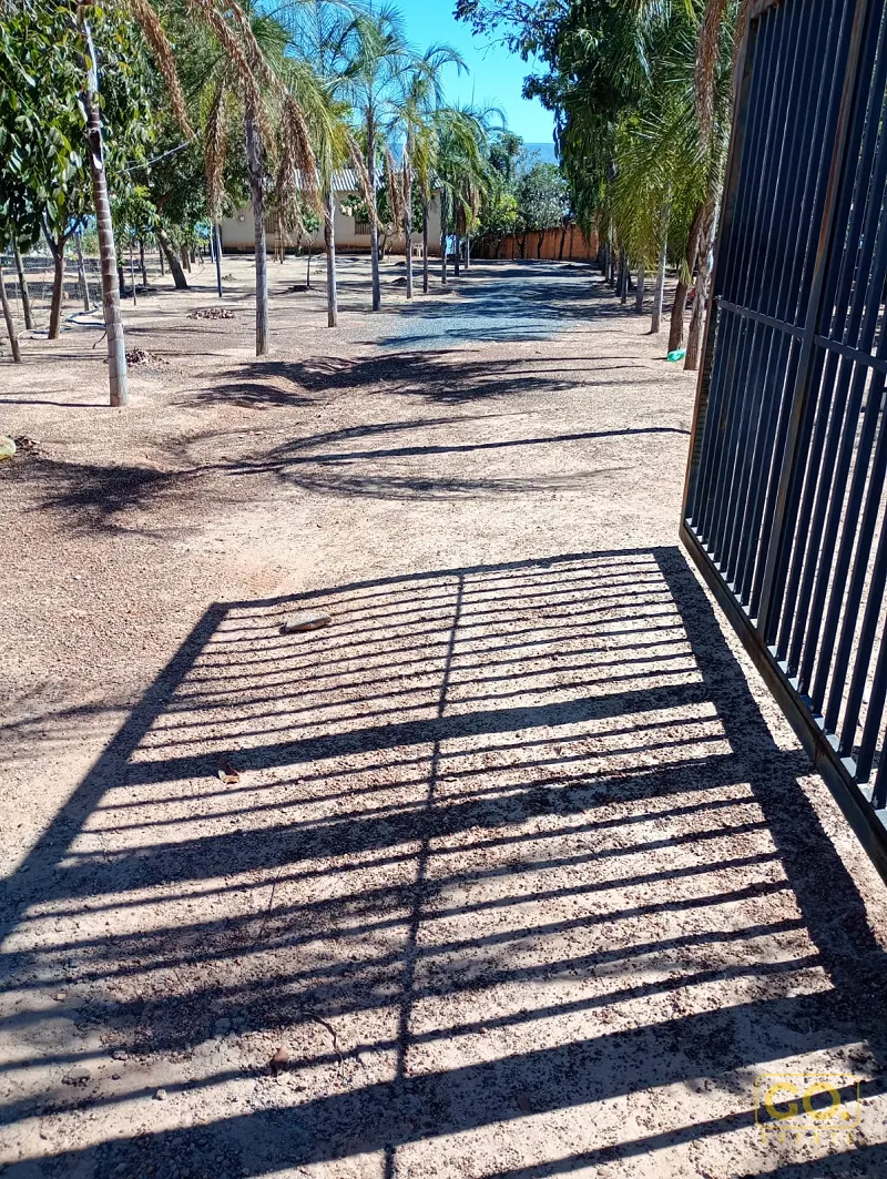 Portão de grade metálica preta em área de terra batida, com palmeiras e árvores e a sombra das grades projetada no chão.