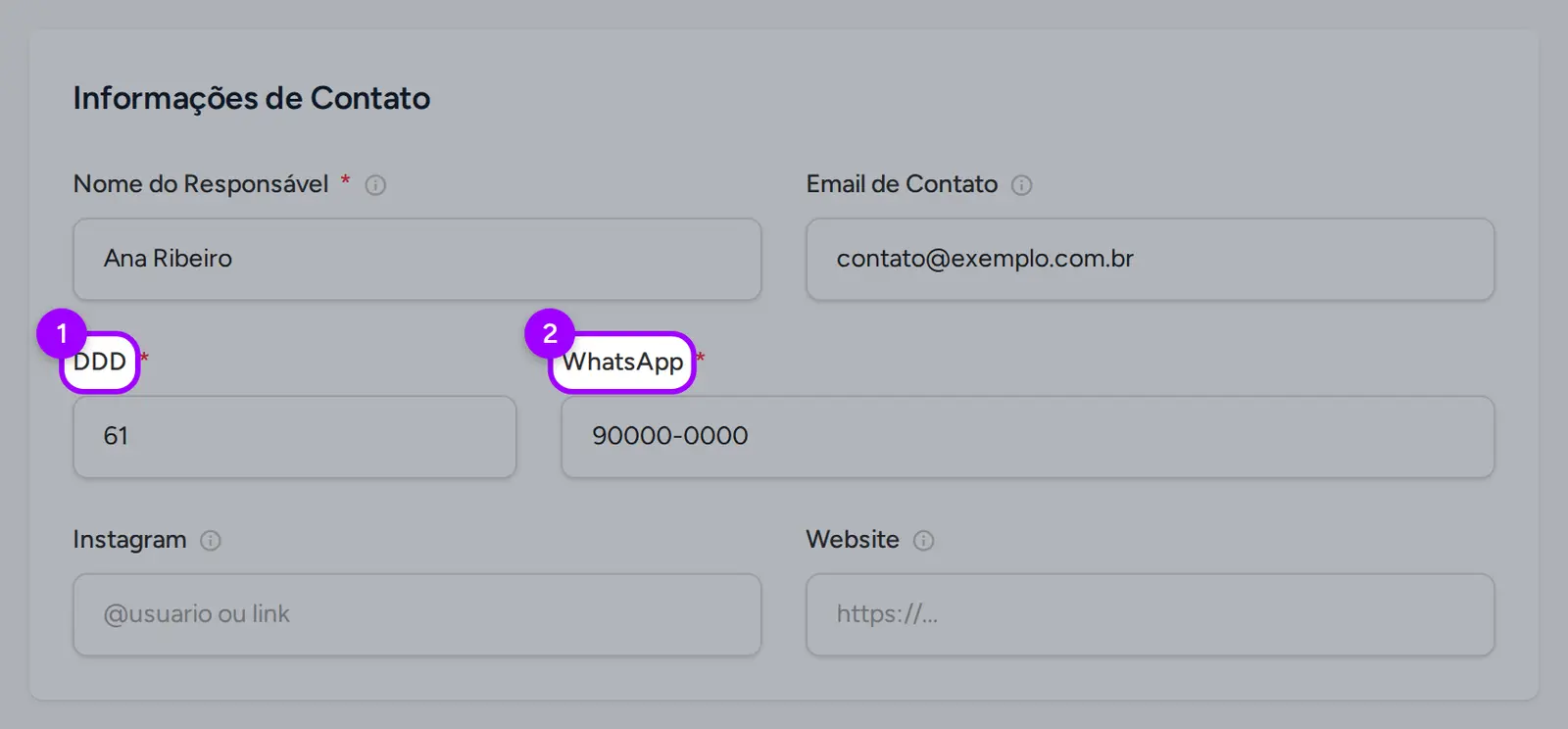 Passo Contato com DDD e WhatsApp