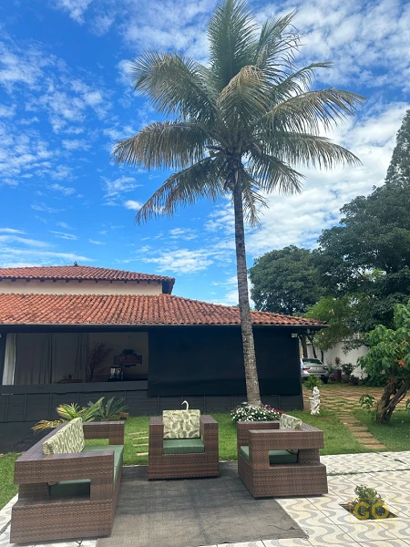 Área externa com poltronas de vime e almofadas verdes sob um coqueiro, com casa de telhado de barro ao fundo.