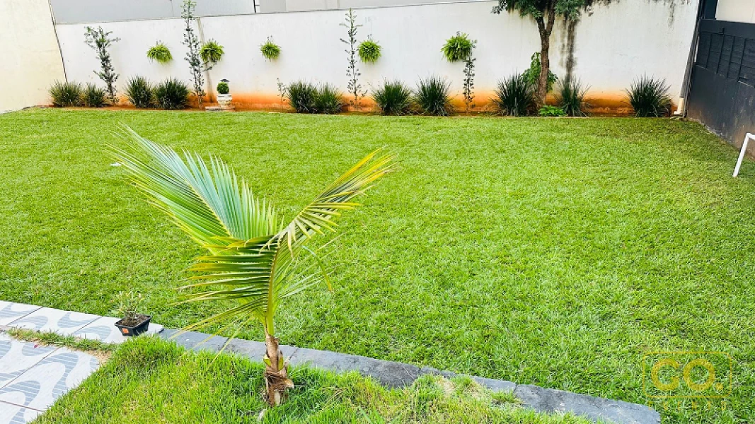 Gramado bem cuidado de quintal com uma palmeira jovem, canteiros de plantas ornamentais e muro ao fundo.