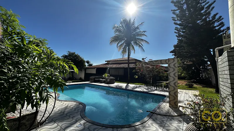 Piscina de formato orgânico com borda ladrilhada e palmeira ao fundo, sob sol forte em um dia de céu azul.