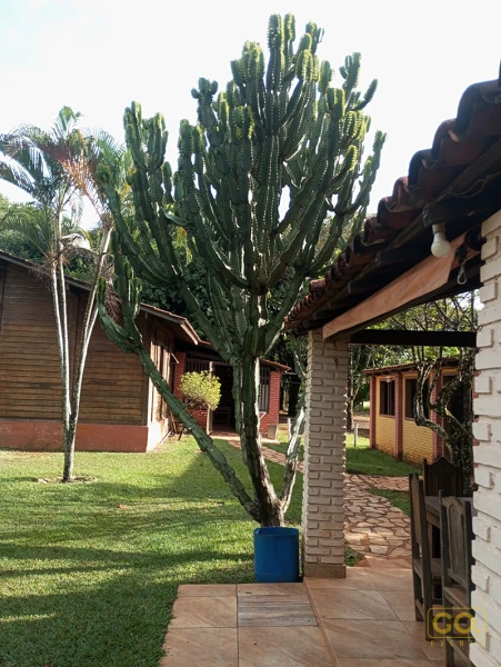 Foto 14