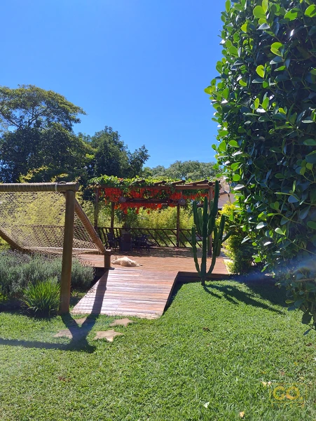 Foto 41