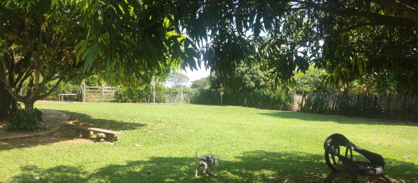 Foto 46