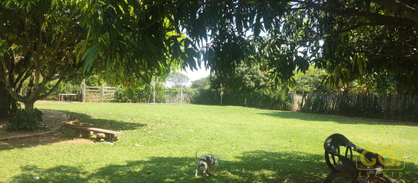 Foto 46