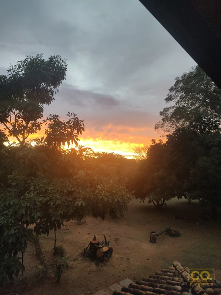 Foto 45